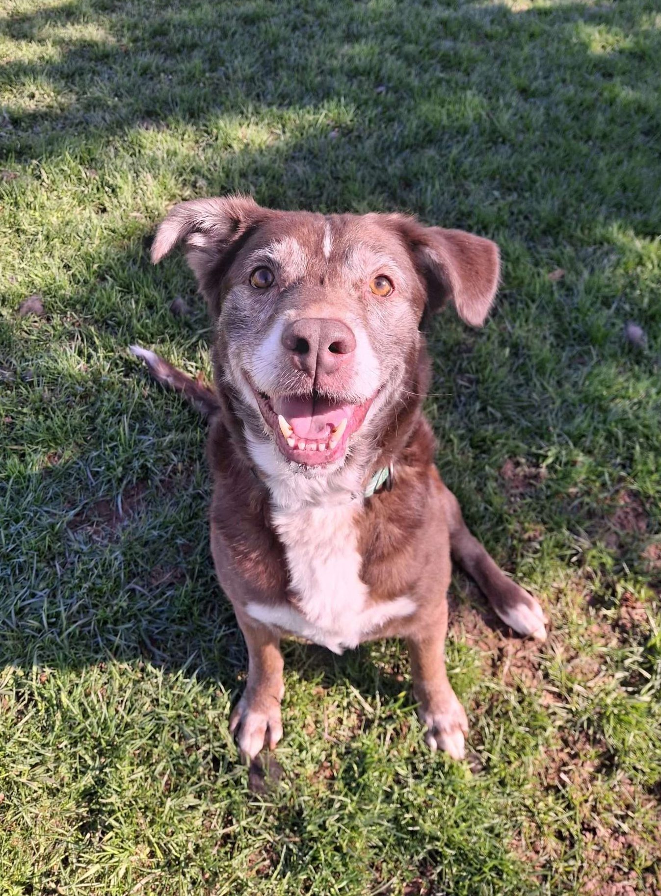 OTTO *IN FOSTER*