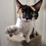 Libby1